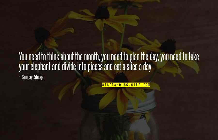 Elephant Quotes By Sunday Adelaja: You need to think about the month, you