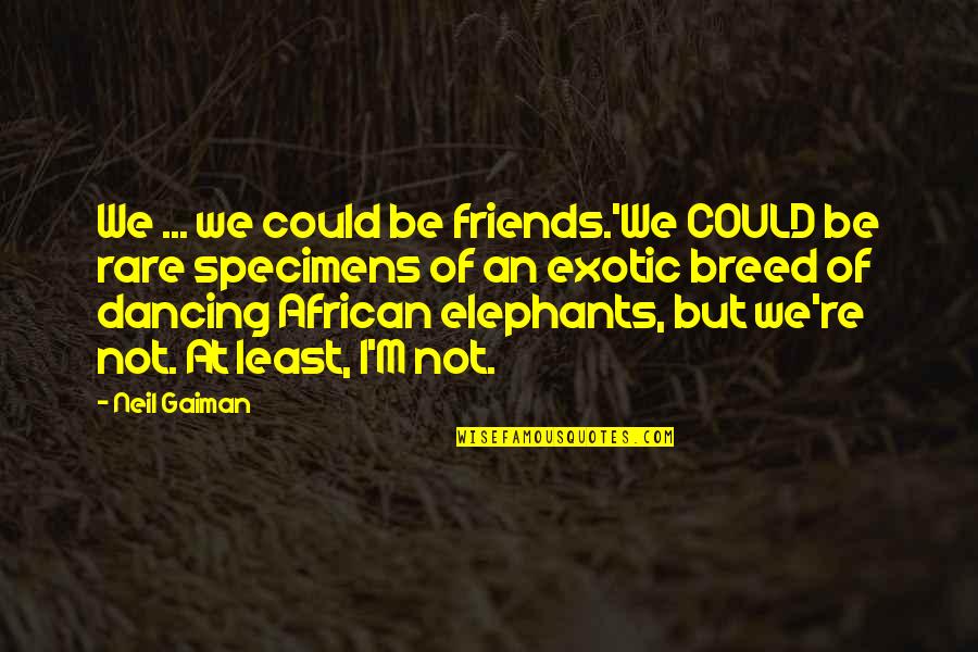 Elephants And Friends Quotes By Neil Gaiman: We ... we could be friends.'We COULD be Elephants And Friends Quotes By Neil Gaiman: We ... we could be friends.'We COULD be