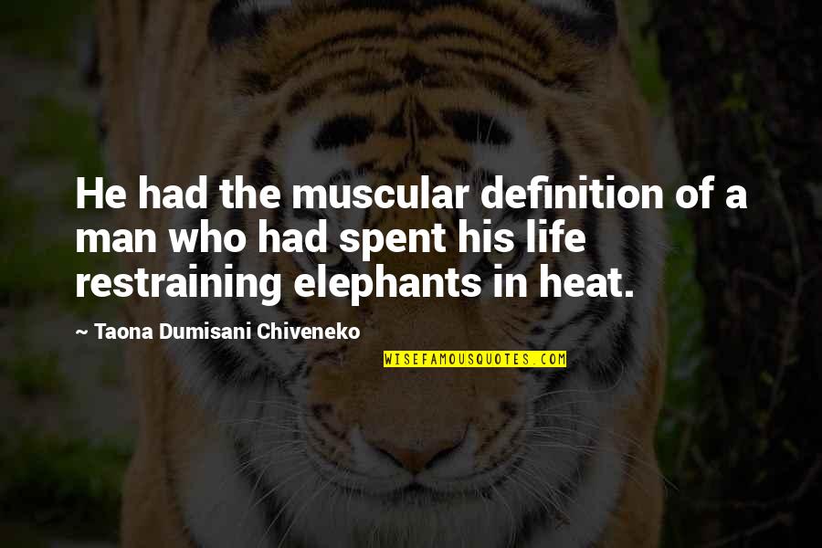 Elephants And Life Quotes By Taona Dumisani Chiveneko: He had the muscular definition of a man