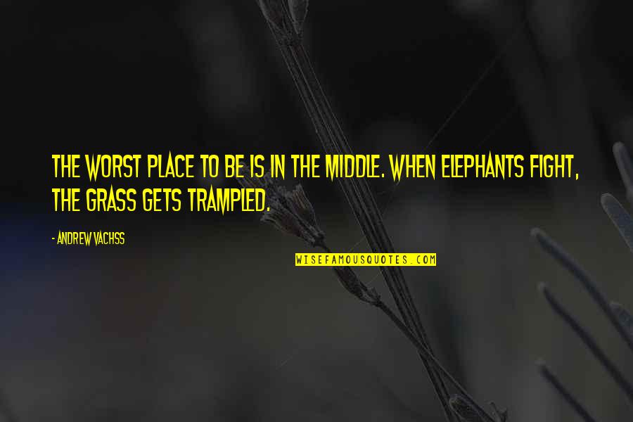 Elephants Quotes By Andrew Vachss: The worst place to be is in the