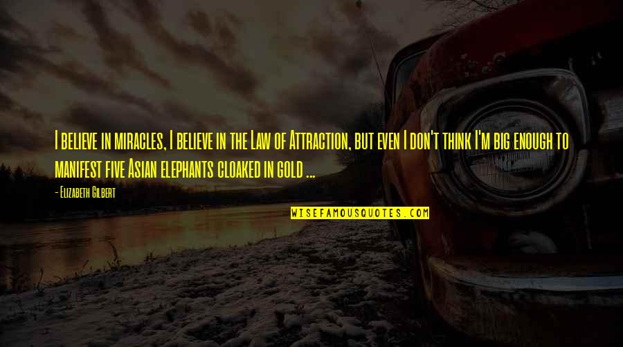 Elephants Quotes By Elizabeth Gilbert: I believe in miracles, I believe in the