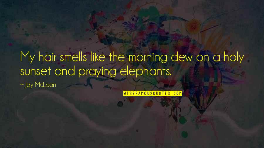 Elephants Quotes By Jay McLean: My hair smells like the morning dew on