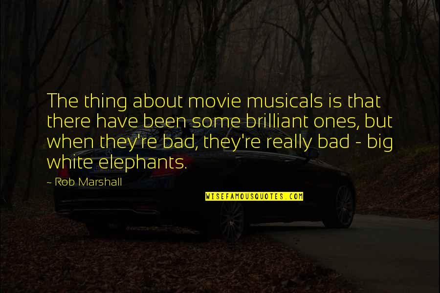 Elephants Quotes By Rob Marshall: The thing about movie musicals is that there