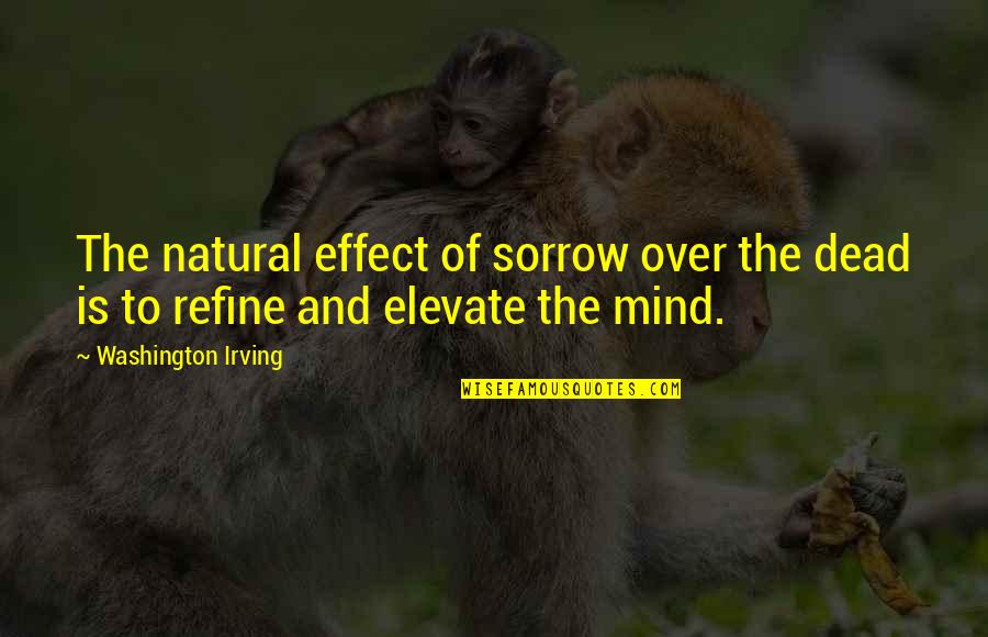 Elevate Each Other Quotes By Washington Irving: The natural effect of sorrow over the dead