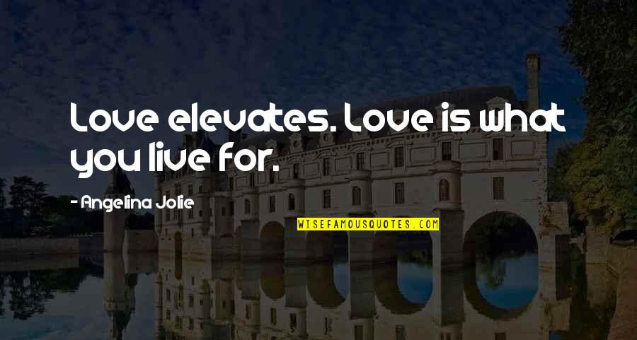 Elevates Quotes By Angelina Jolie: Love elevates. Love is what you live for.