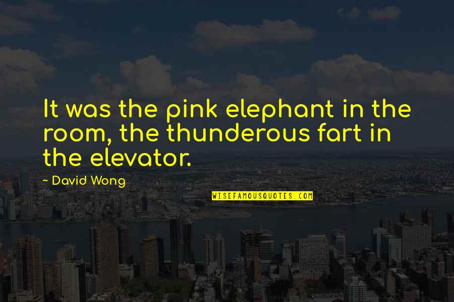 Elevator Quotes By David Wong: It was the pink elephant in the room,