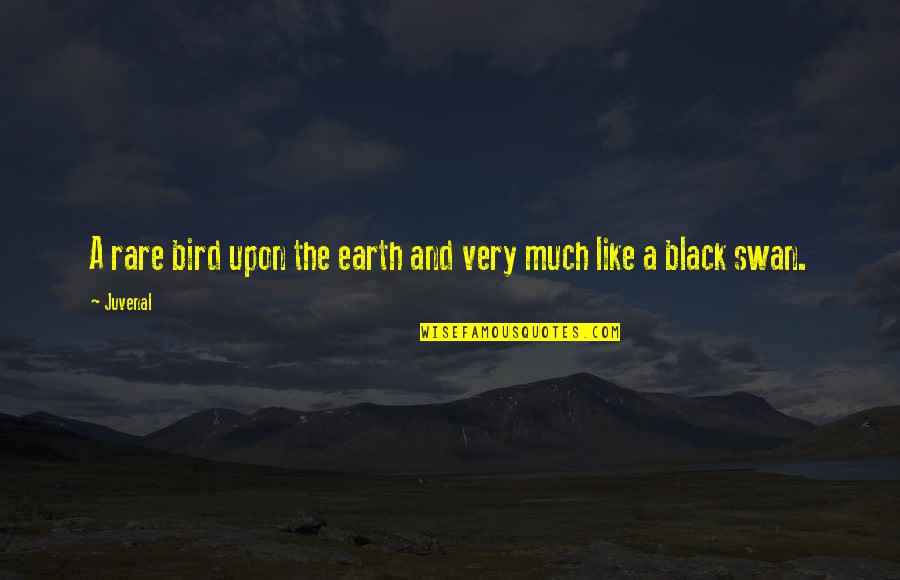 Eleyna Bedolla Quotes By Juvenal: A rare bird upon the earth and very