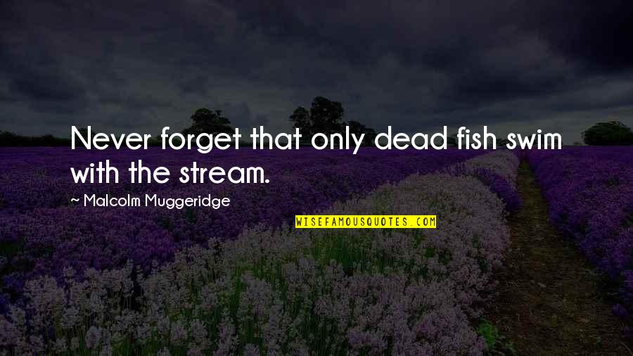 Elf Gumdrop Quotes By Malcolm Muggeridge: Never forget that only dead fish swim with