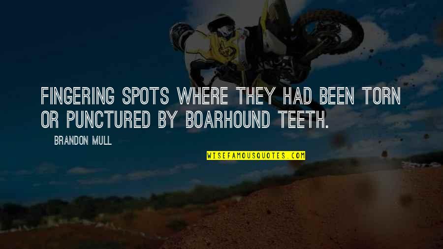 Elgesem Quotes By Brandon Mull: Fingering spots where they had been torn or