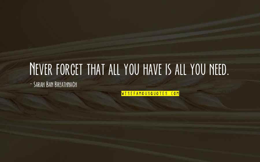 Elhaym Van Houten Quotes By Sarah Ban Breathnach: Never forget that all you have is all