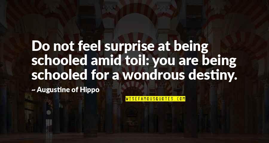 Eli Gold Quotes By Augustine Of Hippo: Do not feel surprise at being schooled amid