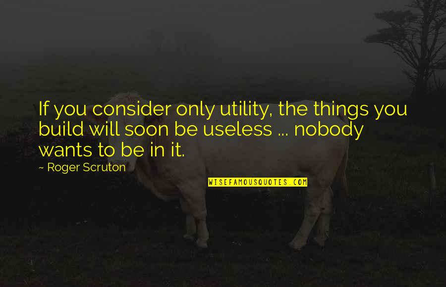 Elias Boudinot Cherokee Quotes By Roger Scruton: If you consider only utility, the things you