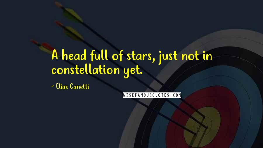 Elias Canetti quotes: A head full of stars, just not in constellation yet.
