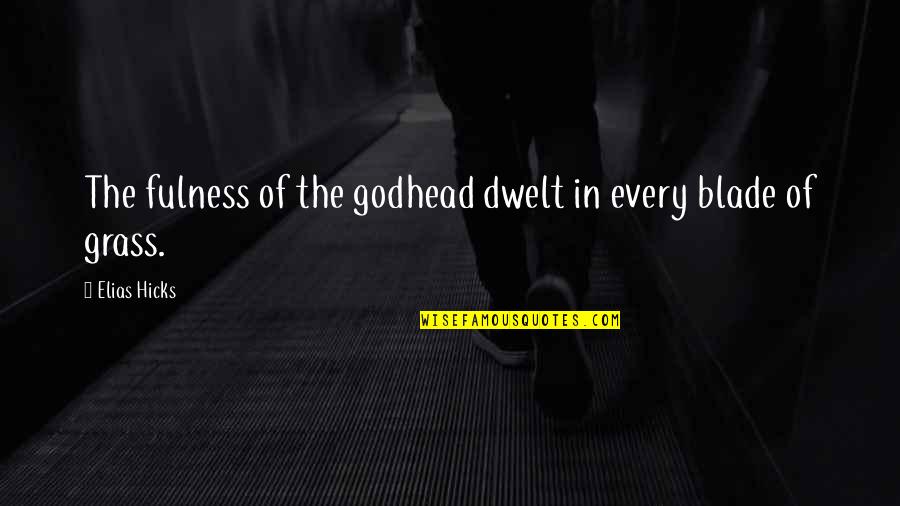 Elias Hicks Quotes By Elias Hicks: The fulness of the godhead dwelt in every