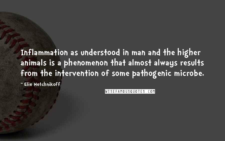 Elie Metchnikoff quotes: Inflammation as understood in man and the higher animals is a phenomenon that almost always results from the intervention of some pathogenic microbe.