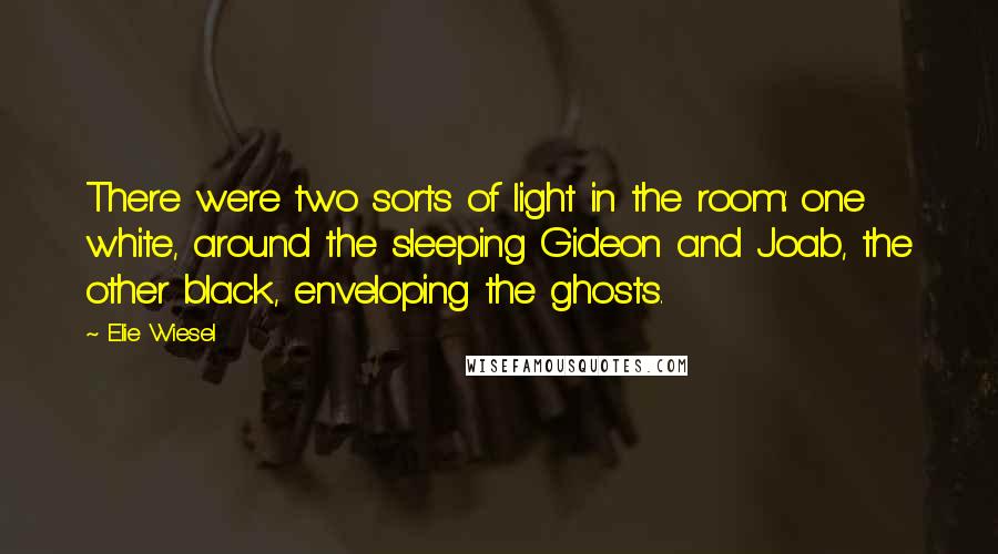 Elie Wiesel quotes: There were two sorts of light in the room: one white, around the sleeping Gideon and Joab, the other black, enveloping the ghosts.