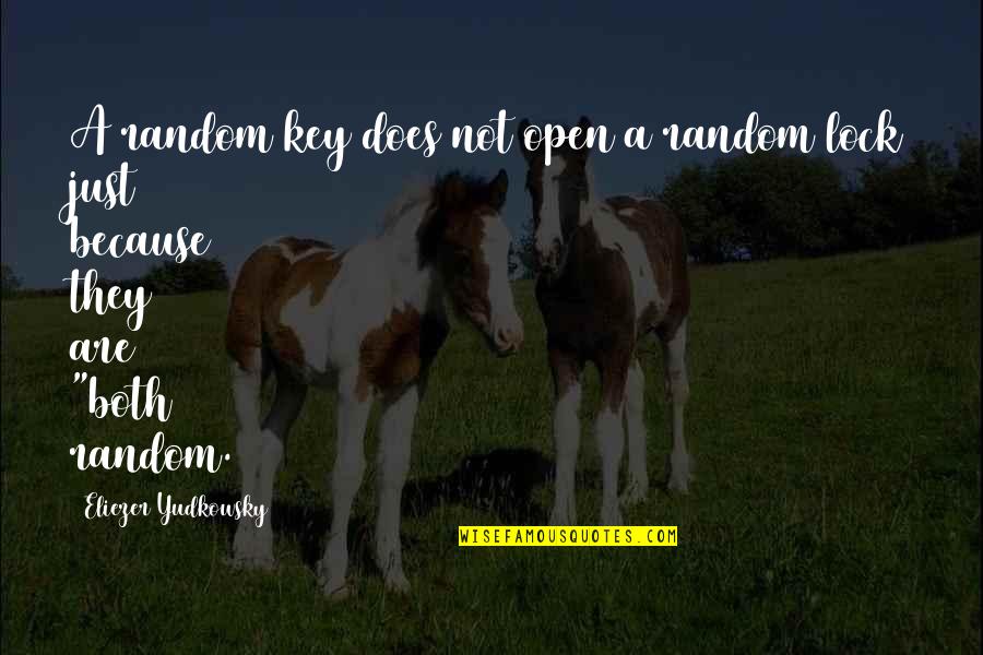 Eliezer Quotes By Eliezer Yudkowsky: A random key does not open a random Eliezer Quotes By Eliezer Yudkowsky: A random key does not open a random