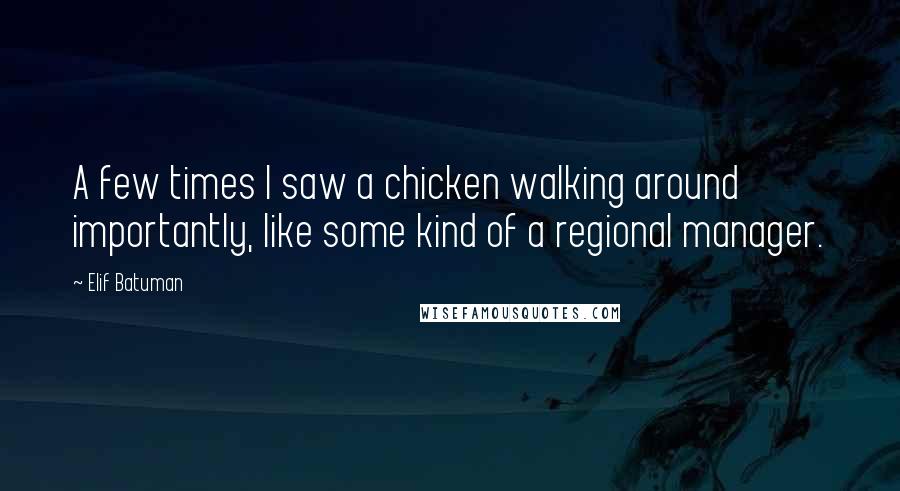 Elif Batuman quotes: A few times I saw a chicken walking around importantly, like some kind of a regional manager.