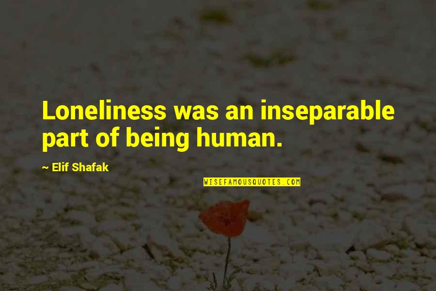 Elif Quotes By Elif Shafak: Loneliness was an inseparable part of being human.