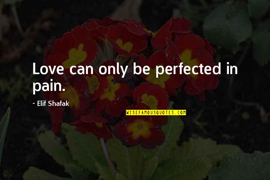 Elif Quotes By Elif Shafak: Love can only be perfected in pain.