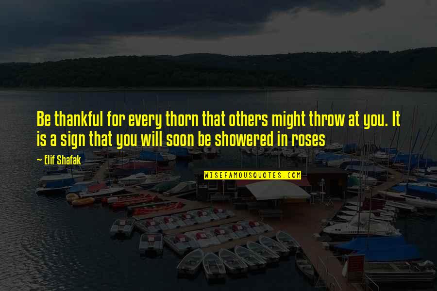 Elif Quotes By Elif Shafak: Be thankful for every thorn that others might Elif Quotes By Elif Shafak: Be thankful for every thorn that others might