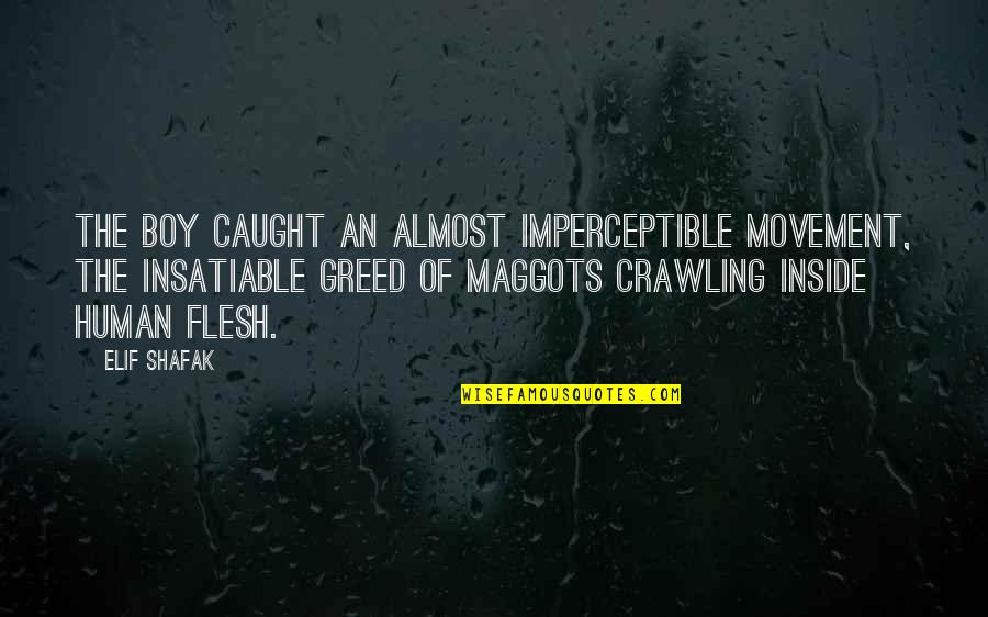 Elif Quotes By Elif Shafak: The boy caught an almost imperceptible movement, the Elif Quotes By Elif Shafak: The boy caught an almost imperceptible movement, the