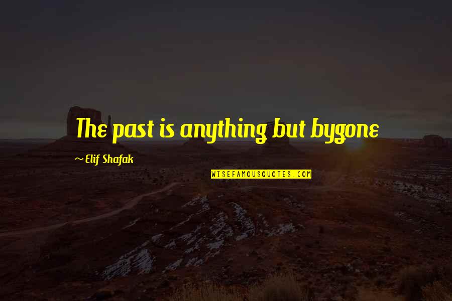 Elif Quotes By Elif Shafak: The past is anything but bygone