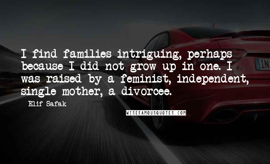 Elif Safak quotes: I find families intriguing, perhaps because I did not grow up in one. I was raised by a feminist, independent, single mother, a divorcee. Elif Safak quotes: I find families intriguing, perhaps because I did not grow up in one. I was raised by a feminist, independent, single mother, a divorcee.