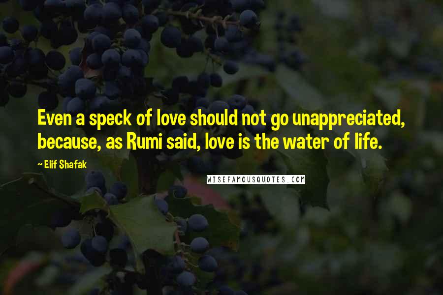 Elif Shafak quotes: Even a speck of love should not go unappreciated, because, as Rumi said, love is the water of life.