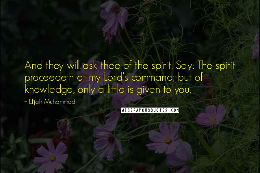 Elijah Muhammad quotes: And they will ask thee of the spirit. Say: The spirit proceedeth at my Lord's command; but of knowledge, only a little is given to you.