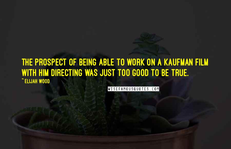 Elijah Wood quotes: The prospect of being able to work on a Kaufman film with him directing was just too good to be true.