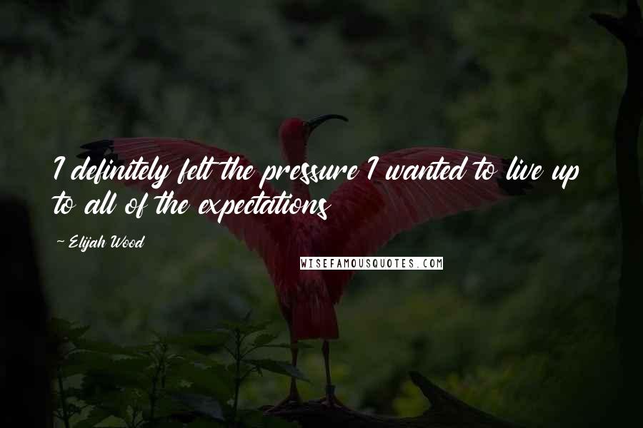 Elijah Wood quotes: I definitely felt the pressure I wanted to live up to all of the expectations