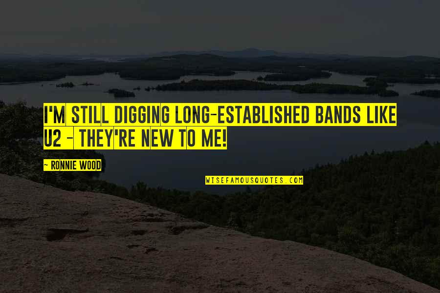 Eliminando Amigos Quotes By Ronnie Wood: I'm still digging long-established bands like U2 -