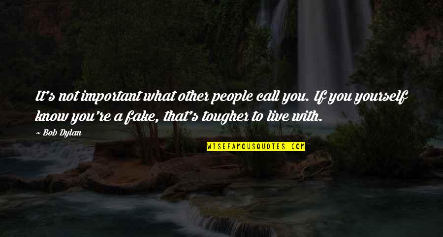 Eliminating Fake Friends Quotes By Bob Dylan: It's not important what other people call you.