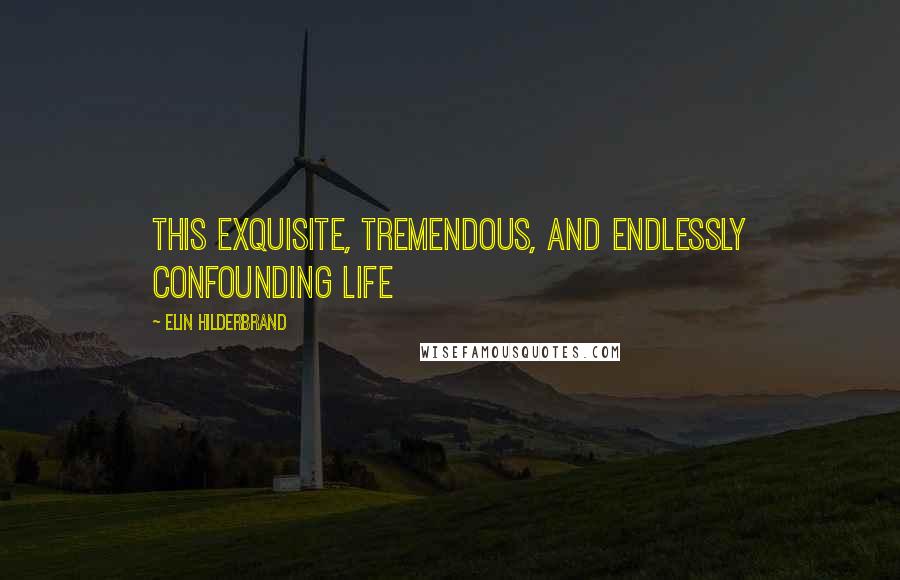 Elin Hilderbrand quotes: This exquisite, tremendous, and endlessly confounding life