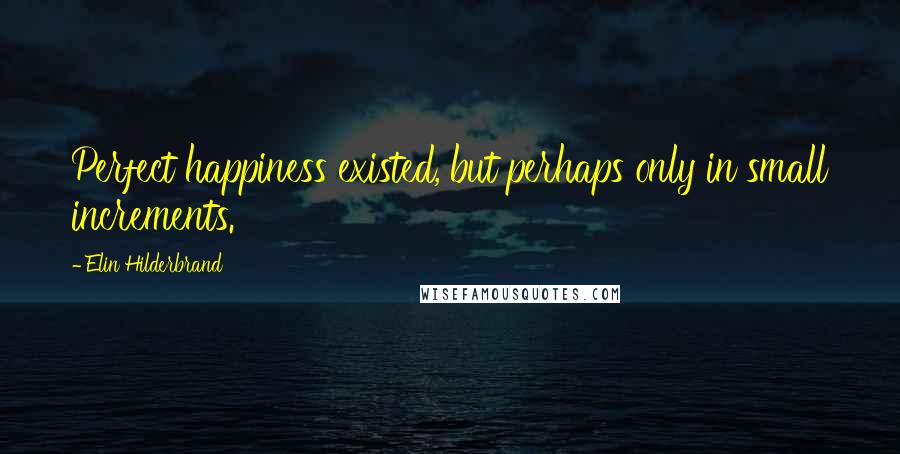 Elin Hilderbrand quotes: Perfect happiness existed, but perhaps only in small increments.