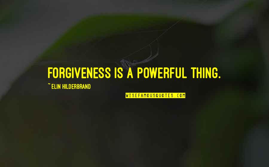 Elin Quotes By Elin Hilderbrand: Forgiveness is a powerful thing.