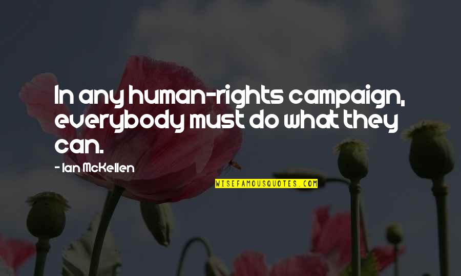Elinor Dashwood And Edward Ferrars Quotes By Ian McKellen: In any human-rights campaign, everybody must do what