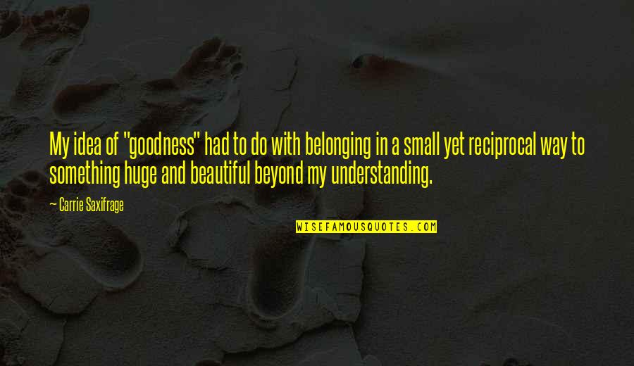 Elinsa Quotes By Carrie Saxifrage: My idea of "goodness" had to do with Elinsa Quotes By Carrie Saxifrage: My idea of "goodness" had to do with
