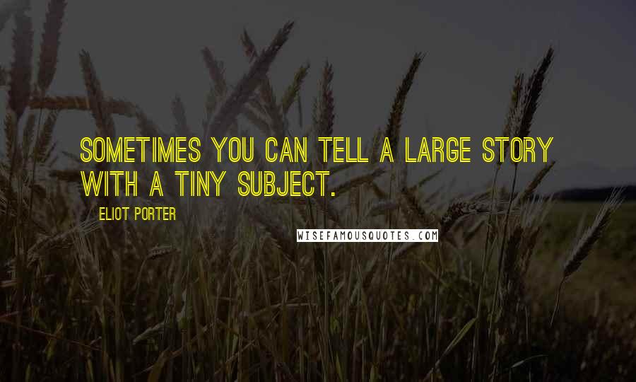 Eliot Porter quotes: Sometimes you can tell a large story with a tiny subject.