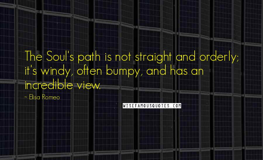 Elisa Romeo quotes: The Soul's path is not straight and orderly; it's windy, often bumpy, and has an incredible view.