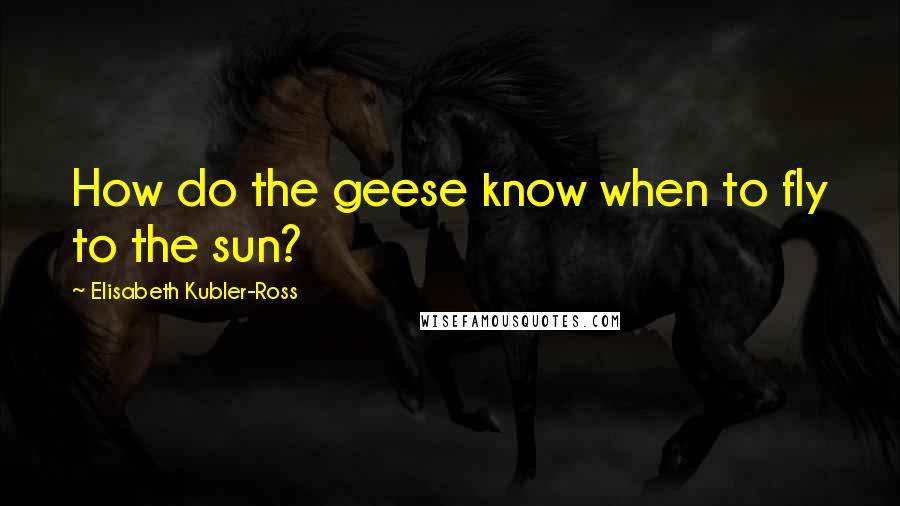 Elisabeth Kubler-Ross quotes: How do the geese know when to fly to the sun?