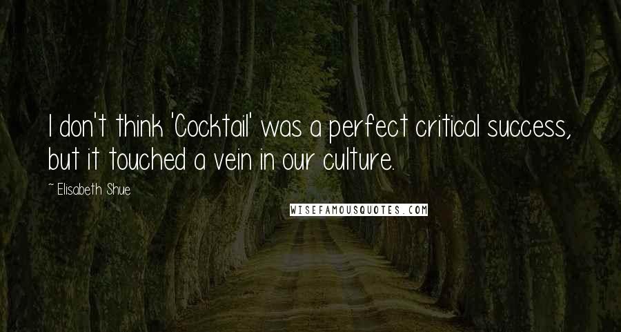 Elisabeth Shue quotes: I don't think 'Cocktail' was a perfect critical success, but it touched a vein in our culture.