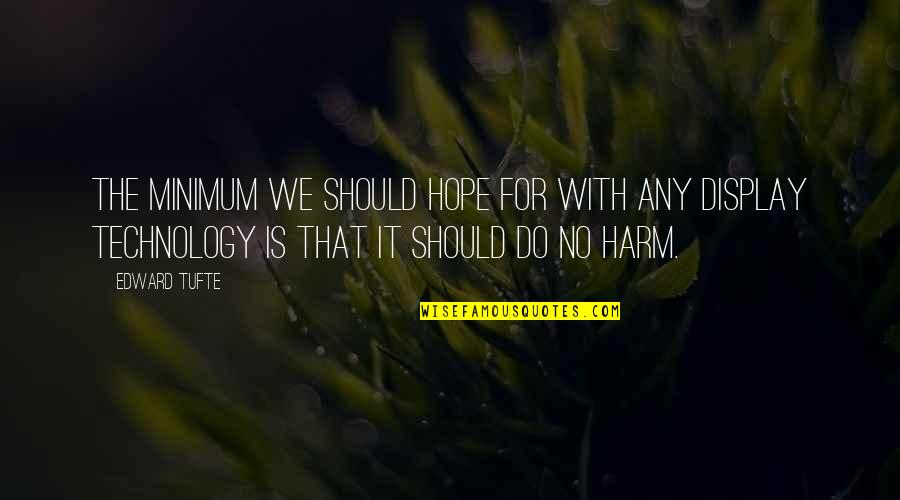 Elise Cabot Quotes By Edward Tufte: The minimum we should hope for with any Elise Cabot Quotes By Edward Tufte: The minimum we should hope for with any