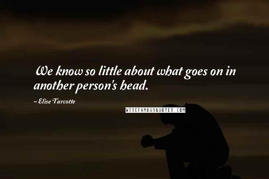 Elise Turcotte quotes: We know so little about what goes on in another person's head.