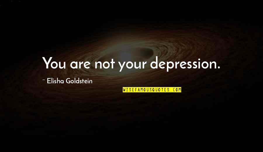 Elisha's Quotes By Elisha Goldstein: You are not your depression.