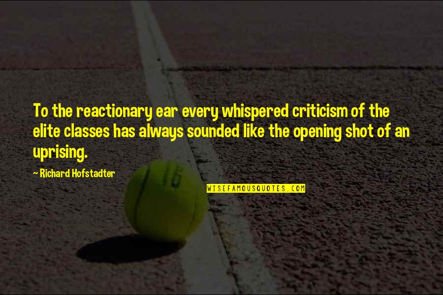 Elite Class Quotes By Richard Hofstadter: To the reactionary ear every whispered criticism of