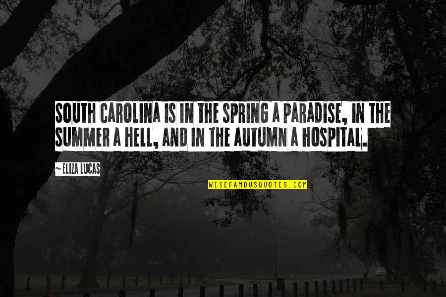 Eliza Lucas Quotes By Eliza Lucas: South Carolina is in the spring a paradise,