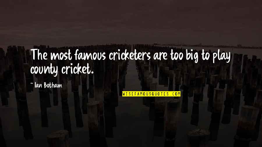 Elizabete Neves Quotes By Ian Botham: The most famous cricketers are too big to