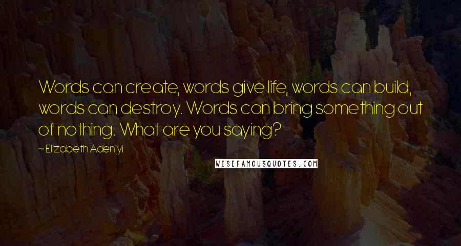 Elizabeth Adeniyi quotes: Words can create, words give life, words can build, words can destroy. Words can bring something out of nothing. What are you saying?